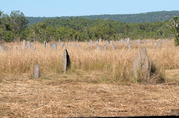 AustraliaAdelaide 10  060-1